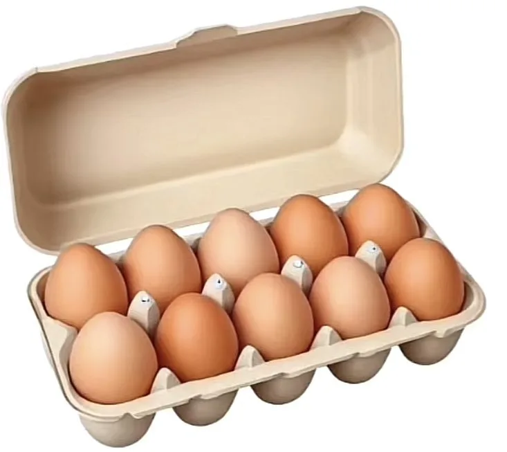 Cartela de Ovos